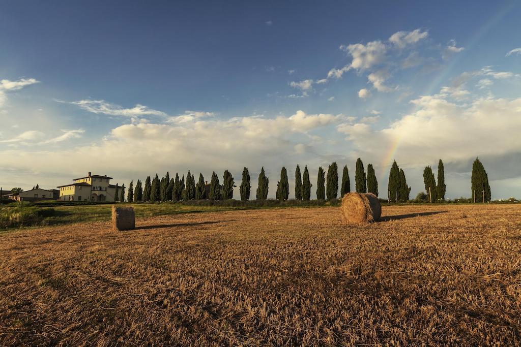 Casale Podernovo Apartment Terricciola Luaran gambar